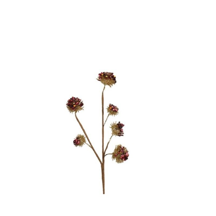 ALLIUM RAMO X 6 ROSSO ORO H.30